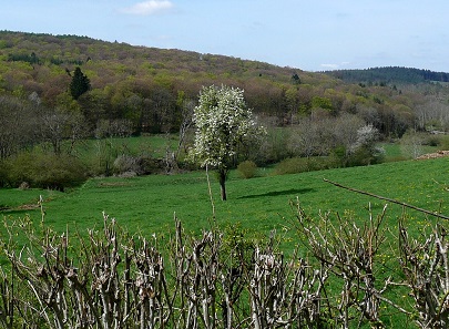 La vallée du Vernay