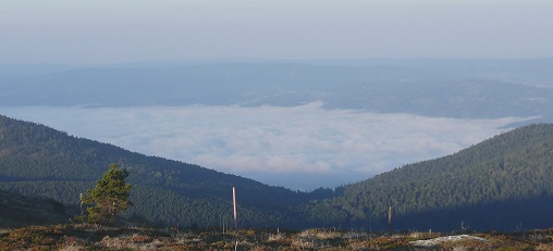 Brouillard tenace dans la vallée de Vertolaye