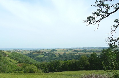 Panorama vers Plantevigne
