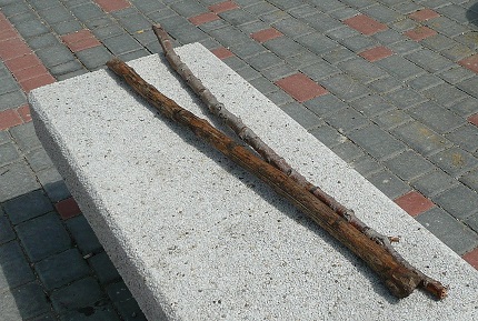 Deux bâtons sur un  banc en pierre