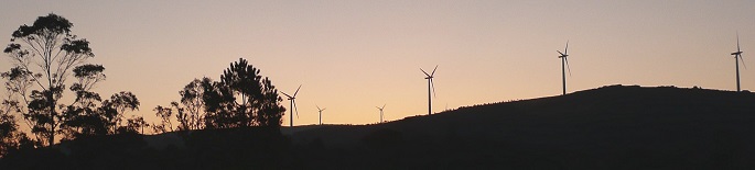 Les éoliennes au lever du jour (1)