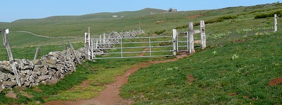 Barrière à bétail